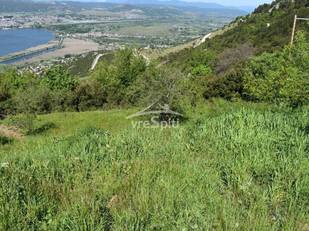 ΑΠΟΨΗ ΟΙΚΟΠΕΔΟΥ