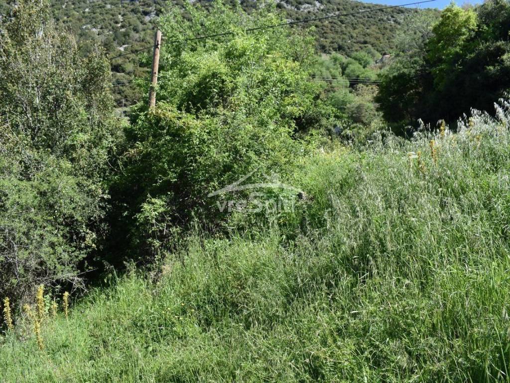 ΑΠΟΨΗ ΟΙΚΟΠΕΔΟΥ