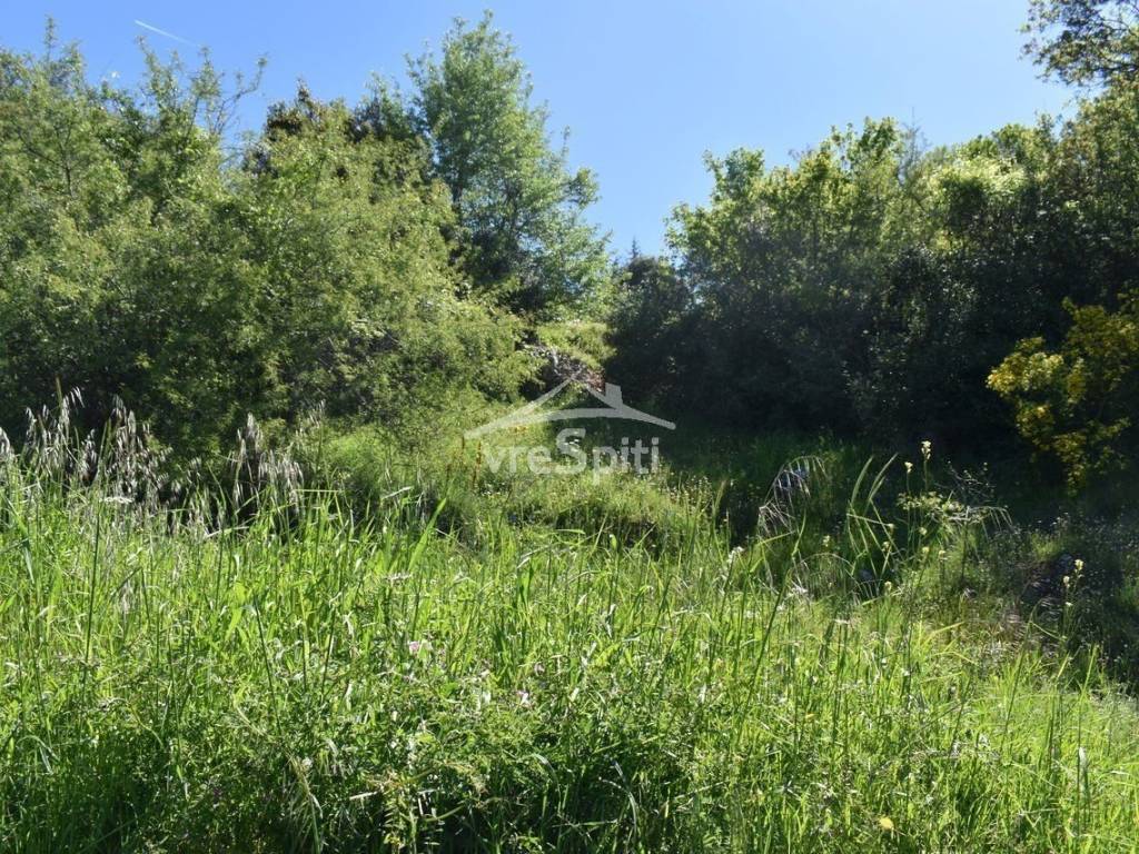 ΑΠΟΨΗ ΟΙΚΟΠΕΔΟΥ