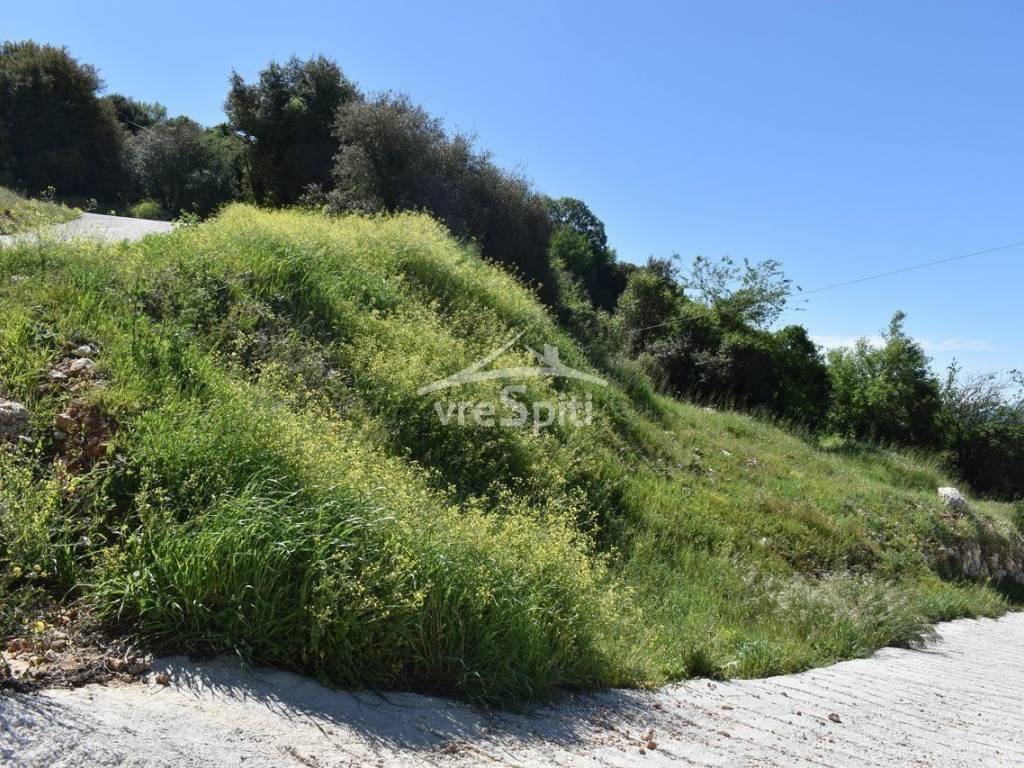 ΑΠΟΨΗ ΟΙΚΟΠΕΔΟΥ