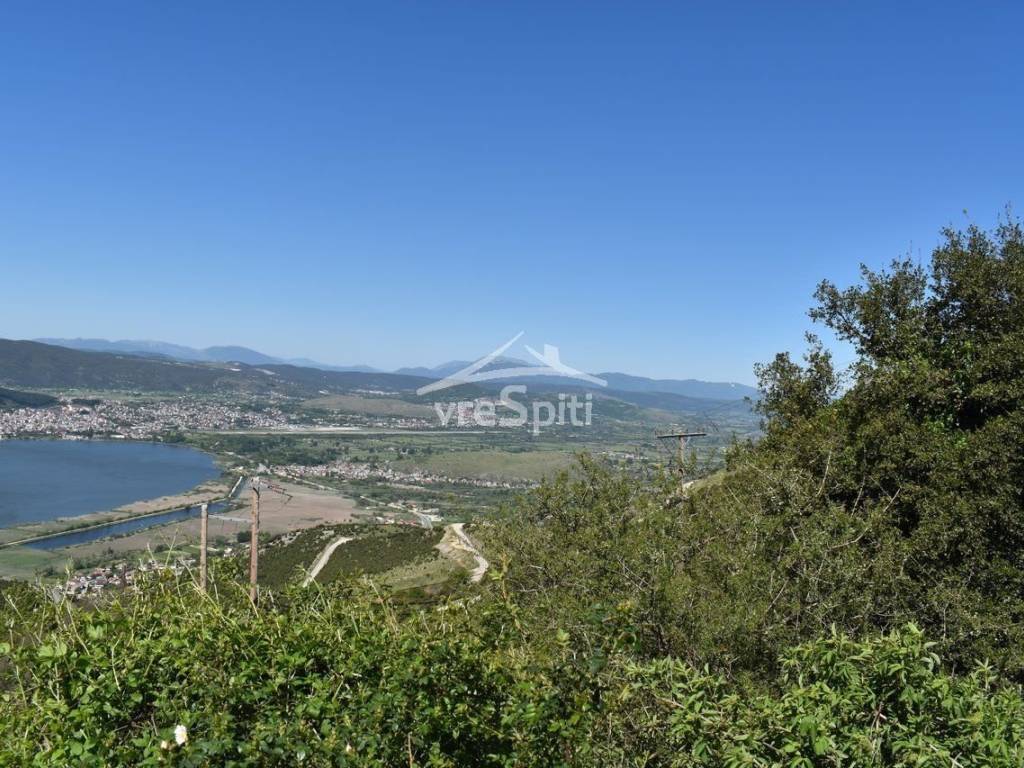 ΑΠΟΨΗ ΟΙΚΟΠΕΔΟΥ