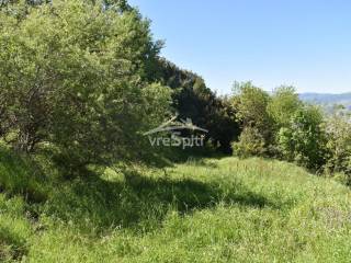 ΑΠΟΨΗ ΟΙΚΟΠΕΔΟΥ