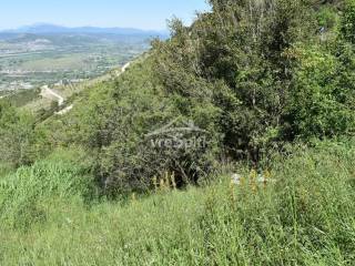 ΑΠΟΨΗ ΟΙΚΟΠΕΔΟΥ