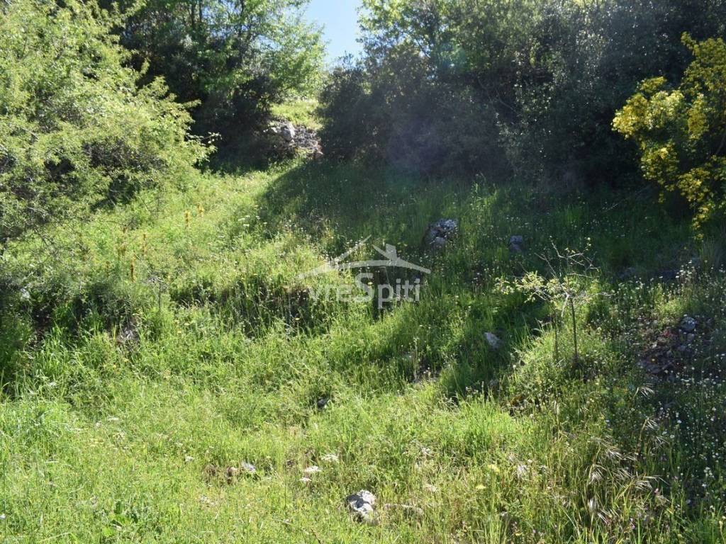 ΑΠΟΨΗ ΟΙΚΟΠΕΔΟΥ