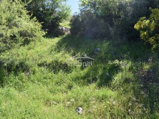 ΑΠΟΨΗ ΟΙΚΟΠΕΔΟΥ