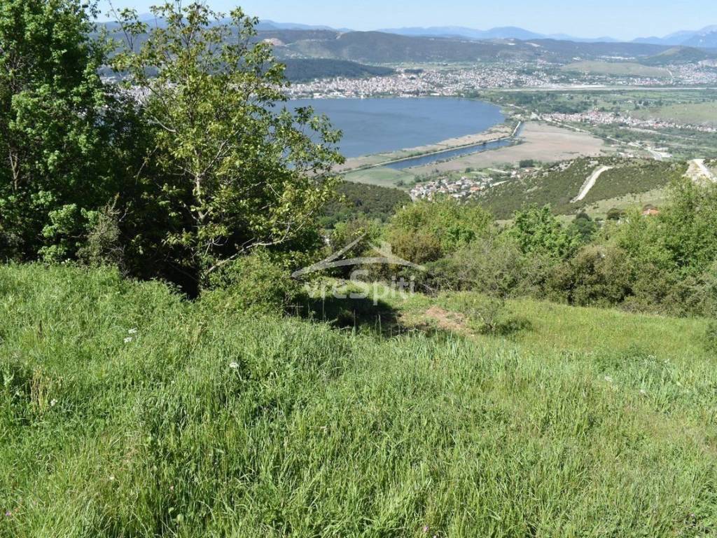 ΑΠΟΨΗ ΟΙΚΟΠΕΔΟΥ