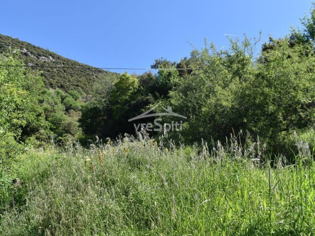 ΑΠΟΨΗ ΟΙΚΟΠΕΔΟΥ