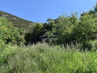 ΑΠΟΨΗ ΟΙΚΟΠΕΔΟΥ