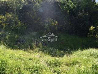 ΑΠΟΨΗ ΟΙΚΟΠΕΔΟΥ