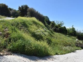 ΑΠΟΨΗ ΟΙΚΟΠΕΔΟΥ