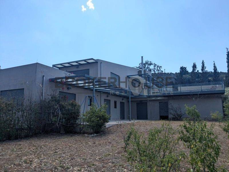 Εξωτερικός χώρος,Κήπος