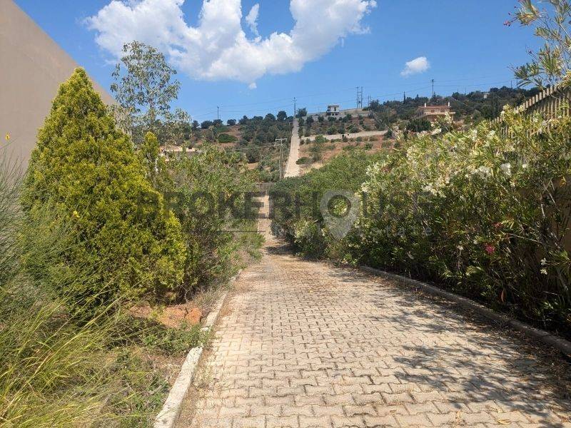 Εξωτερικός χώρος,Κήπος