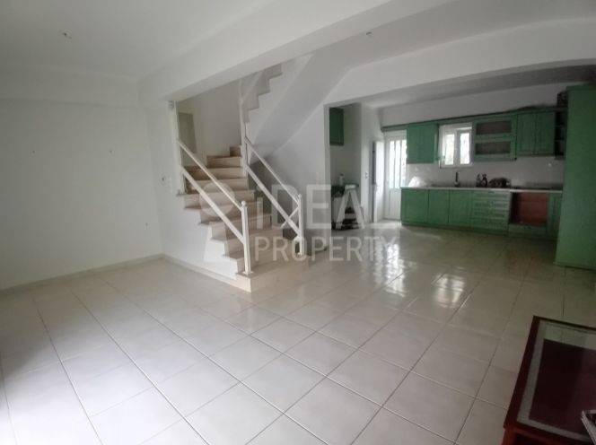 Σαλοκουζίνα