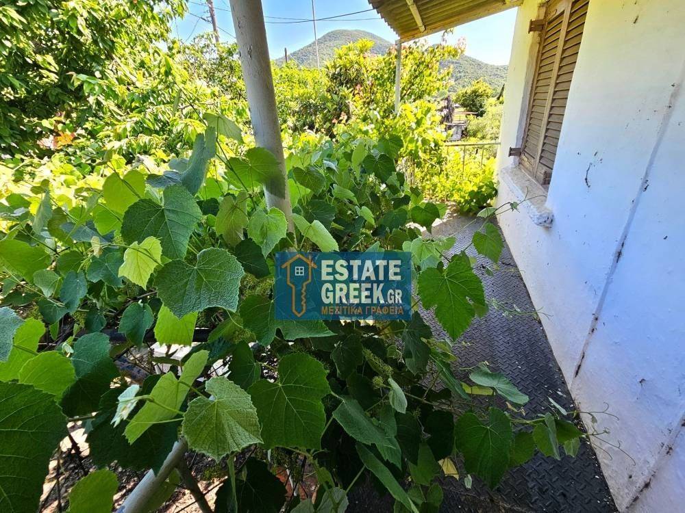 ★ ΑΠΙΣΤΕΥΤΗ ΤΙΜΗ ★ Ο αγοραστής θα πληρώσει τα έξοδα μηχανικού ★ ΑΠΟΚΛΕΙΣΤΙΚΟΤΗΤΑ ★ 