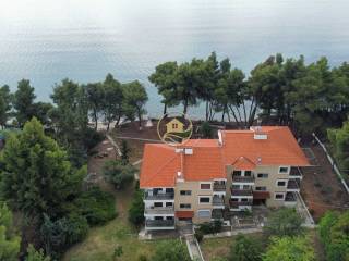 aerophotographia diamerismatos