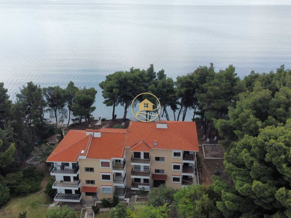 aerophotographia diamerismatos