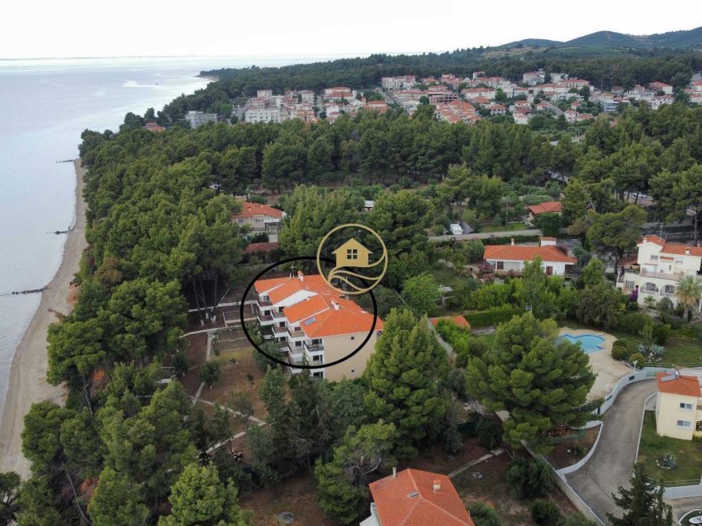 aerophotographia diamerismatos