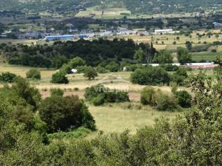 ΑΠΟΨΗ ΑΓΡΟΤΕΜΑΧΙΟΥ