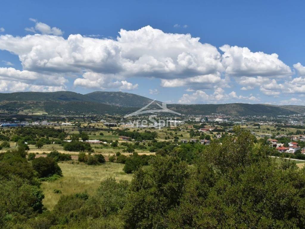 ΑΠΟΨΗ ΑΓΡΟΤΕΜΑΧΙΟΥ