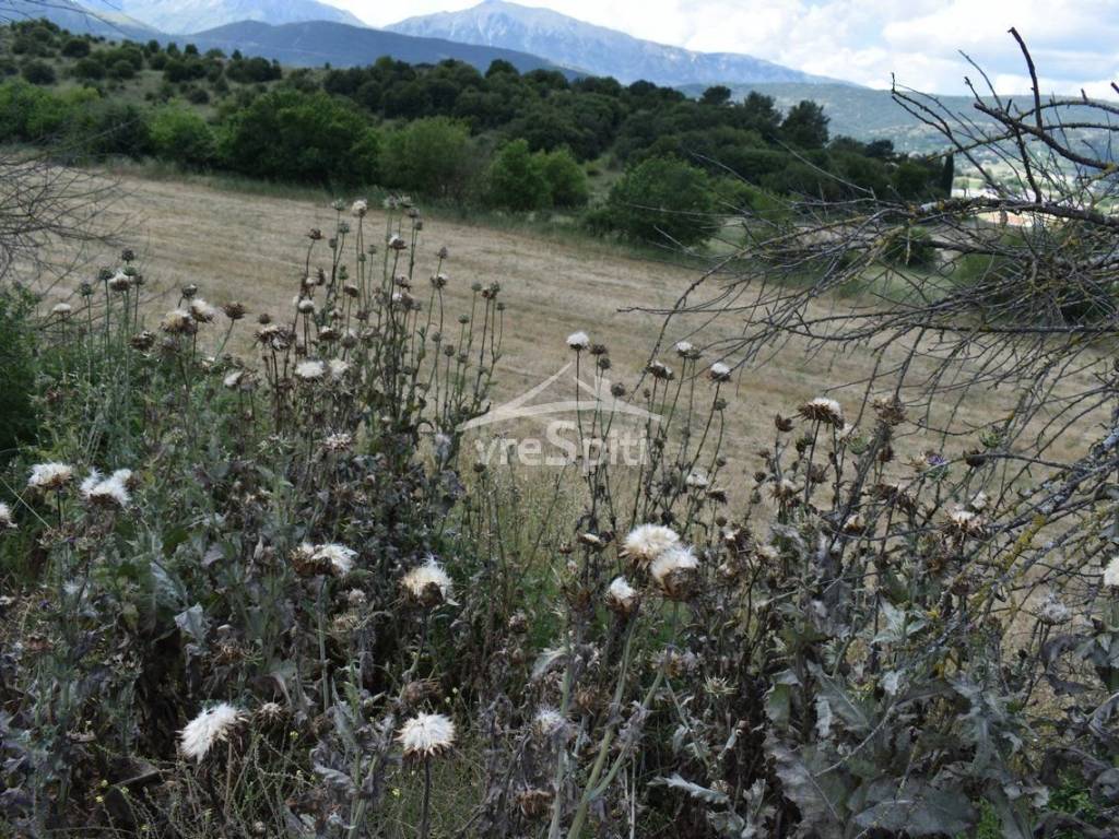 ΑΠΟΨΗ ΑΓΡΟΤΕΜΑΧΙΟΥ