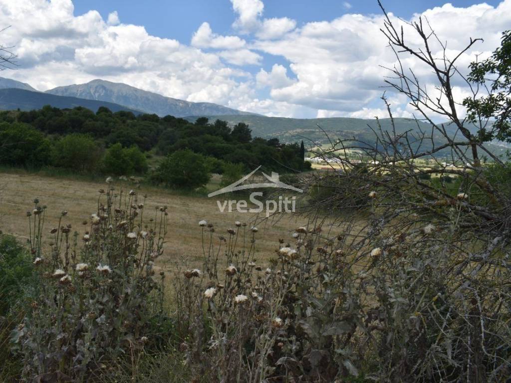 ΑΠΟΨΗ ΑΓΡΟΤΕΜΑΧΙΟΥ