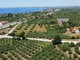 aerophotographia bilas