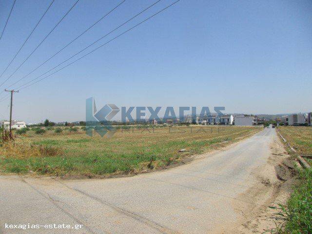 ΕΞΩΤΕΡΙΚΗ ΛΗΨΗ