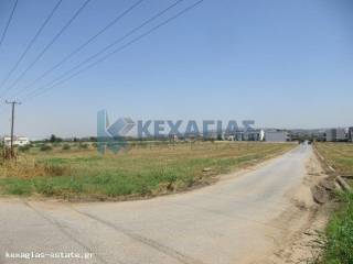 ΕΞΩΤΕΡΙΚΗ ΛΗΨΗ