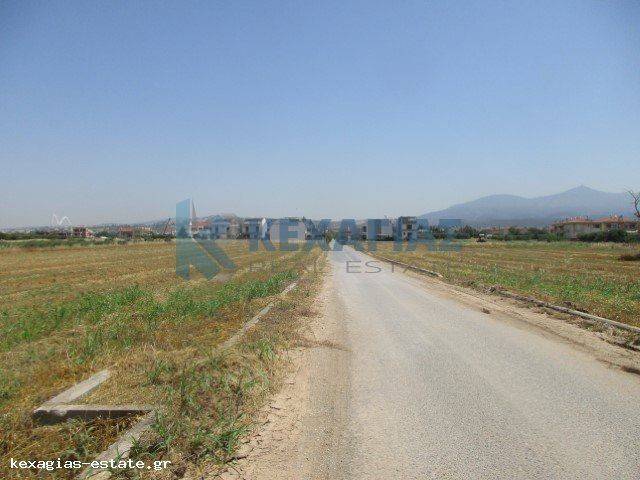 ΕΞΩΤΕΡΙΚΗ ΛΗΨΗ