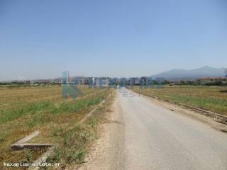 ΕΞΩΤΕΡΙΚΗ ΛΗΨΗ