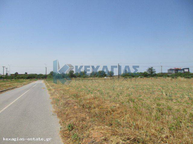 ΕΞΩΤΕΡΙΚΗ ΛΗΨΗ