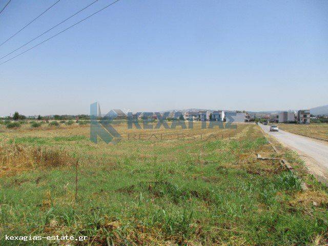 ΕΞΩΤΕΡΙΚΗ ΛΗΨΗ