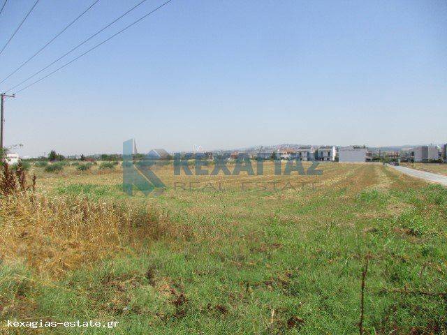 ΕΞΩΤΕΡΙΚΗ ΛΗΨΗ