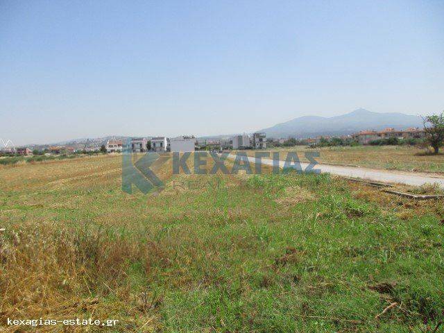 ΕΞΩΤΕΡΙΚΗ ΛΗΨΗ