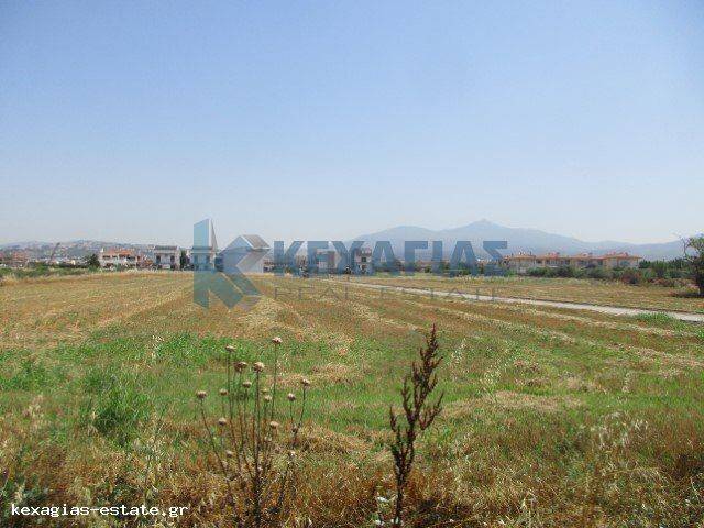 ΕΞΩΤΕΡΙΚΗ ΛΗΨΗ