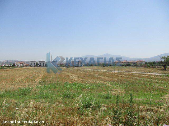 ΕΞΩΤΕΡΙΚΗ ΛΗΨΗ