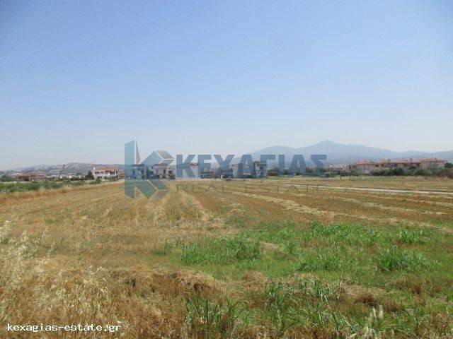 ΕΞΩΤΕΡΙΚΗ ΛΗΨΗ