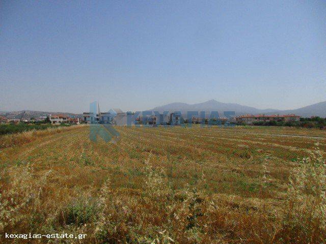 ΕΞΩΤΕΡΙΚΗ ΛΗΨΗ