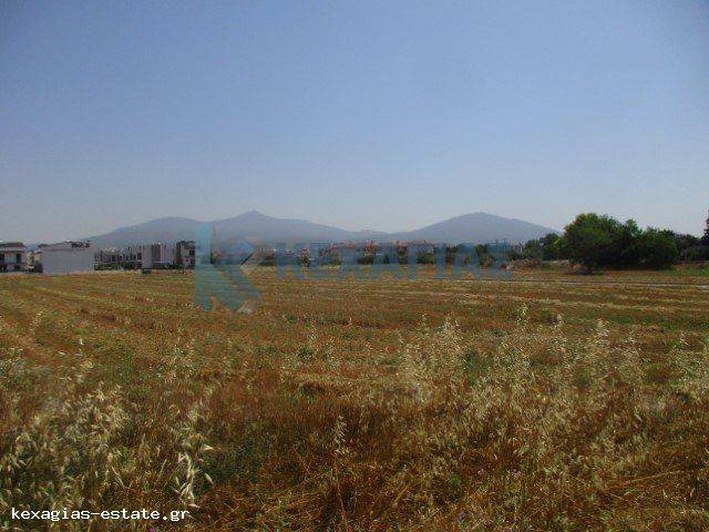 ΕΞΩΤΕΡΙΚΗ ΛΗΨΗ