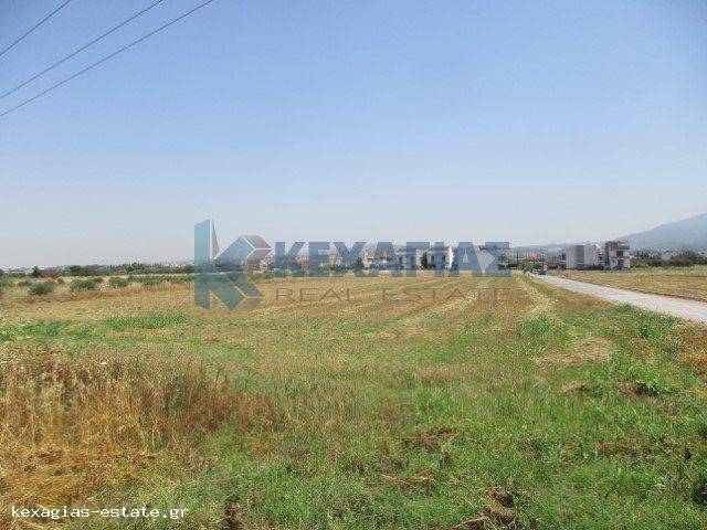 ΕΞΩΤΕΡΙΚΗ ΛΗΨΗ