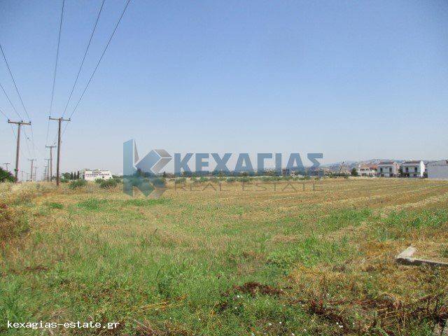 ΕΞΩΤΕΡΙΚΗ ΛΗΨΗ