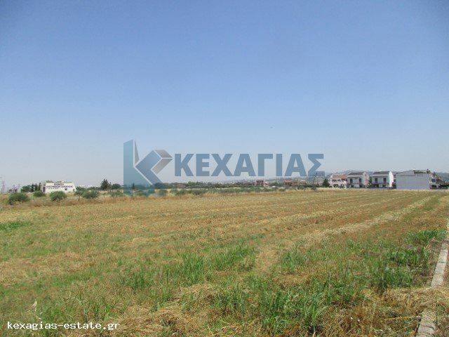 ΕΞΩΤΕΡΙΚΗ ΛΗΨΗ