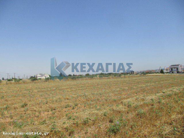 ΕΞΩΤΕΡΙΚΗ ΛΗΨΗ