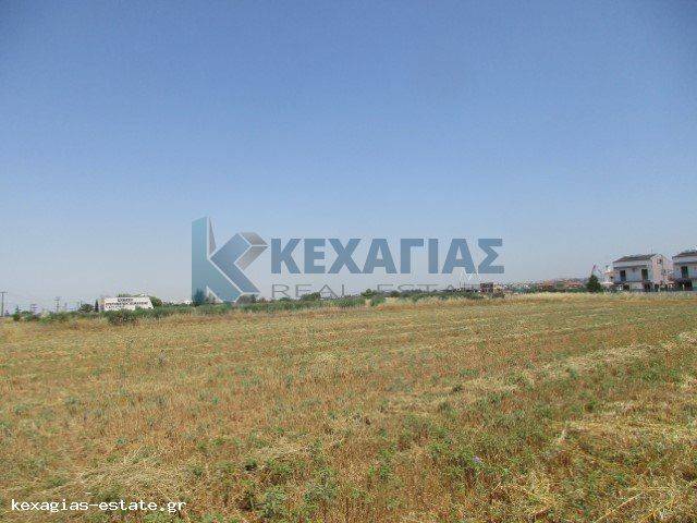 ΕΞΩΤΕΡΙΚΗ ΛΗΨΗ