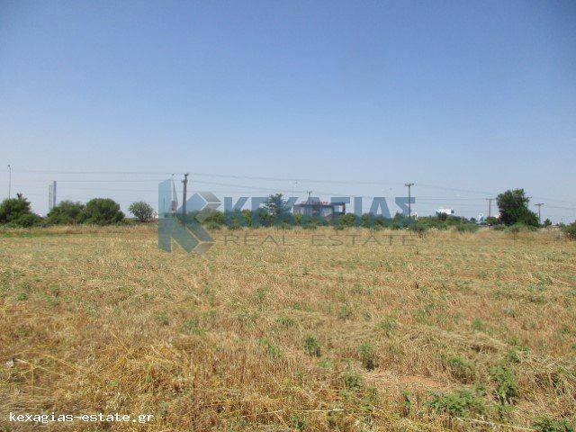 ΕΞΩΤΕΡΙΚΗ ΛΗΨΗ