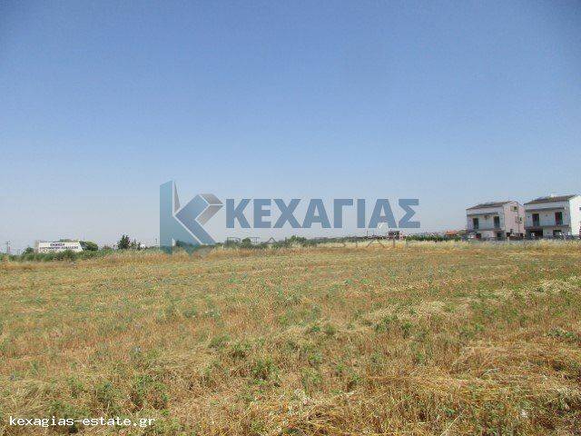 ΕΞΩΤΕΡΙΚΗ ΛΗΨΗ