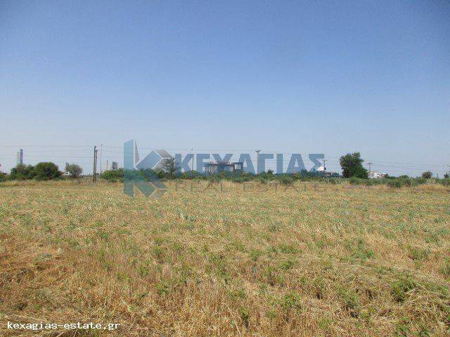 ΕΞΩΤΕΡΙΚΗ ΛΗΨΗ