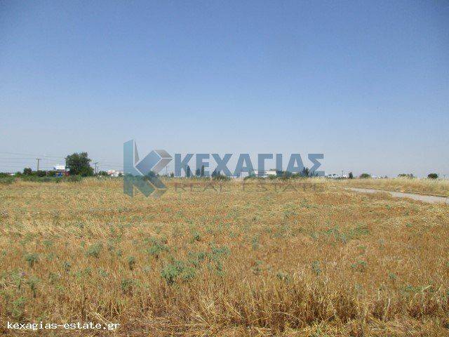 ΕΞΩΤΕΡΙΚΗ ΛΗΨΗ