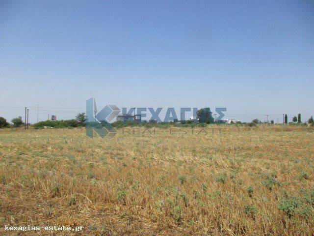 ΕΞΩΤΕΡΙΚΗ ΛΗΨΗ