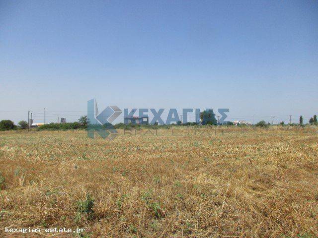 ΕΞΩΤΕΡΙΚΗ ΛΗΨΗ